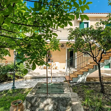 Anemona 2