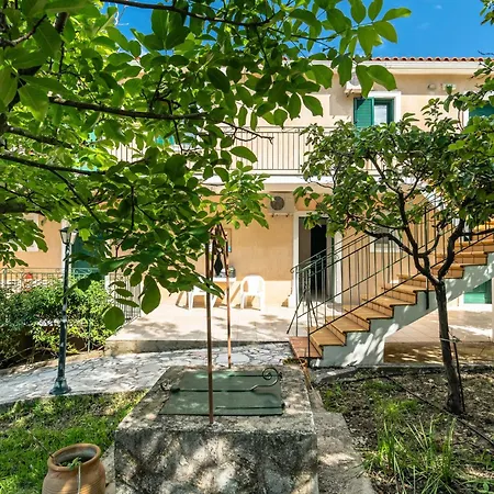 Anemona 2 Кателиос