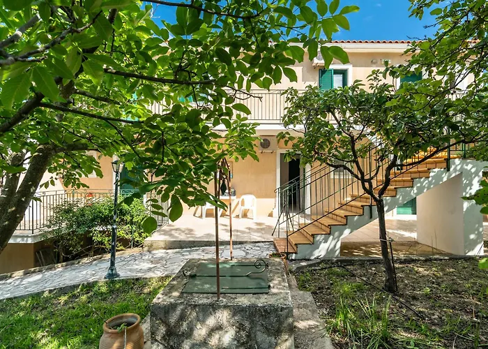 Anemona 2